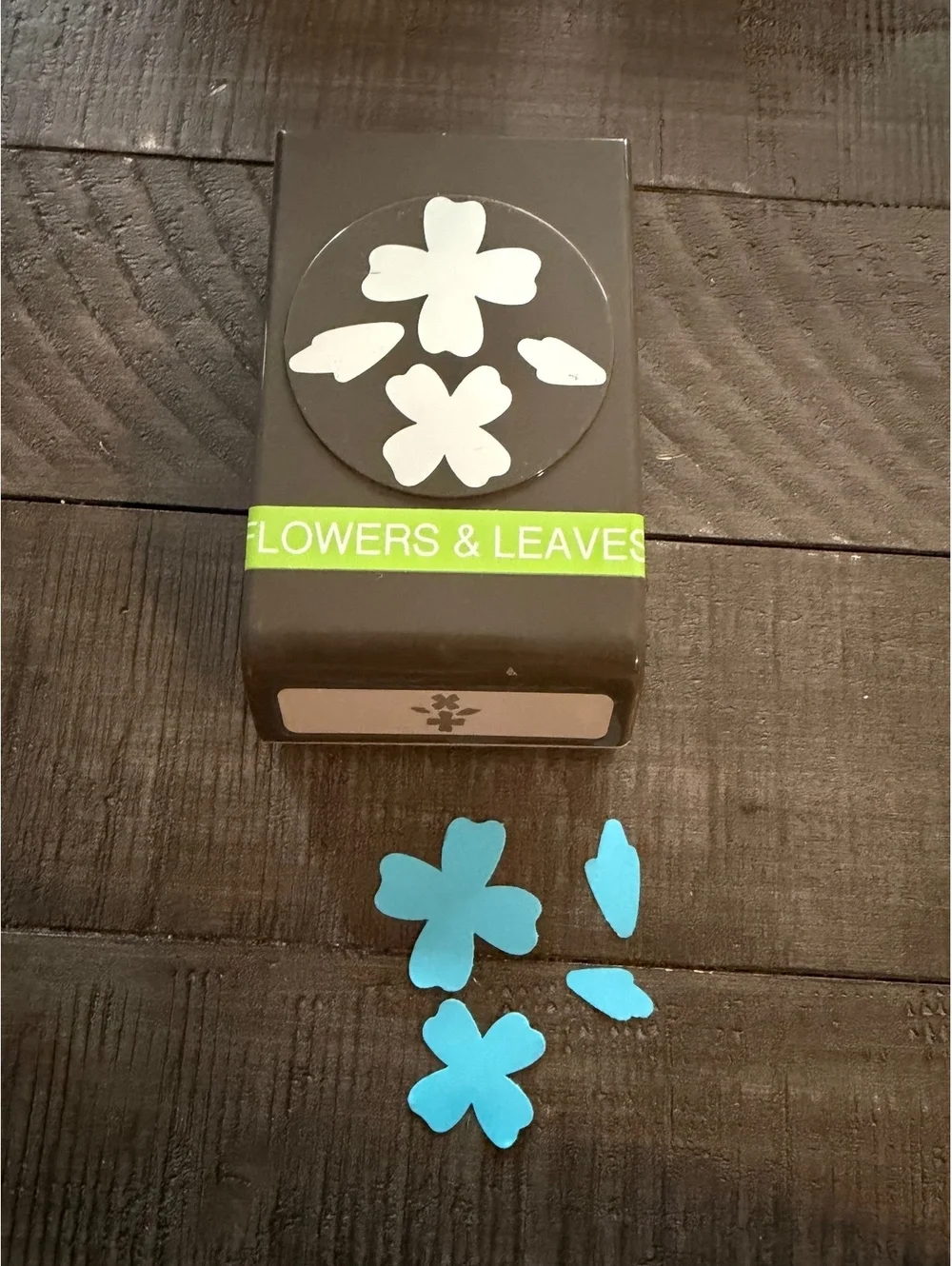 Stampin’ Up Flowers Of Friendship stamp set with Flowers & Leaves shape punch